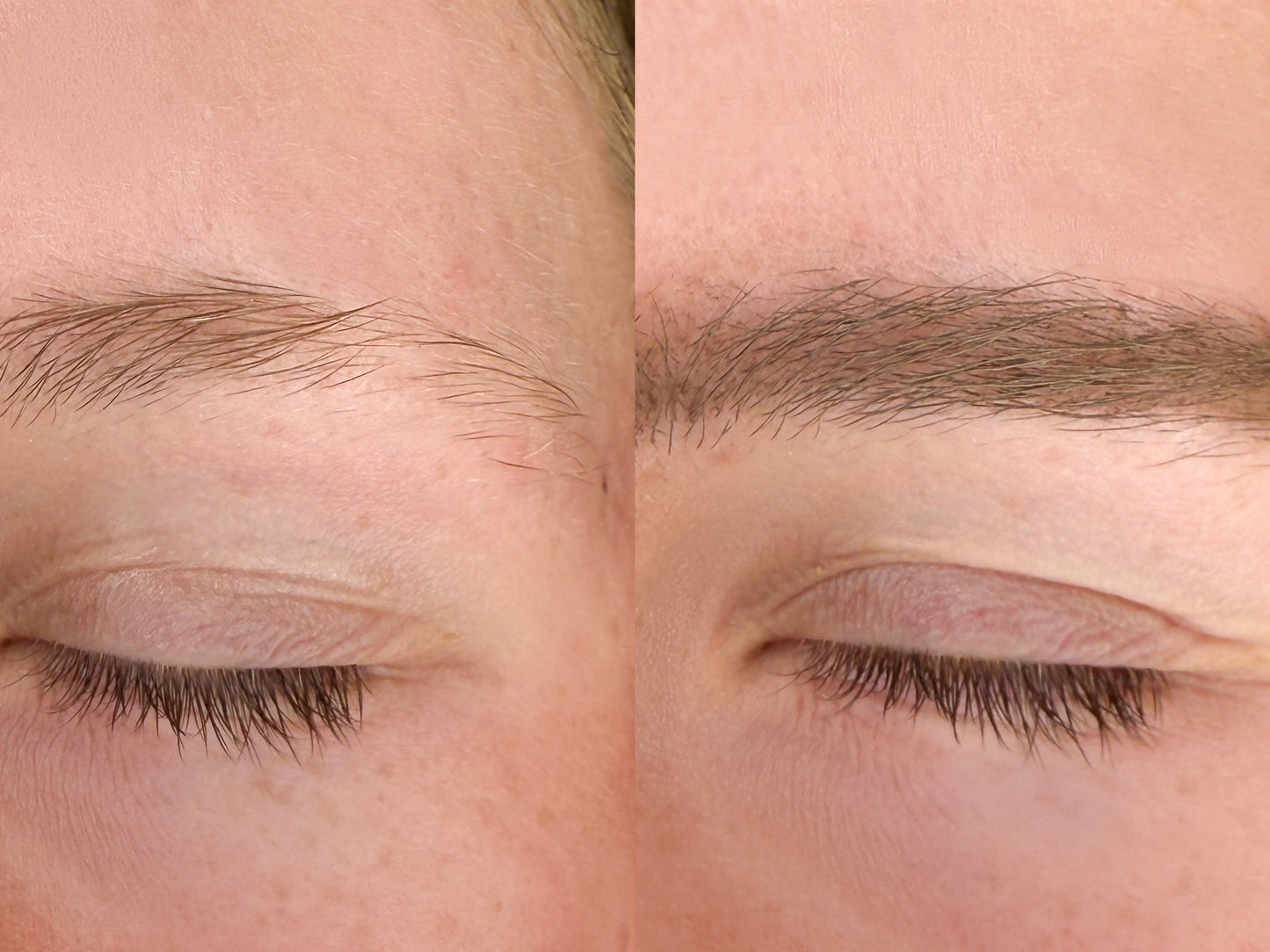 Argan Brow Tinted Growth Serum 8ml | Three shades available-4